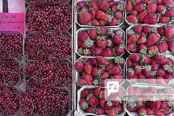 Frische Erdbeeren und Johannisbeeren an einem Marktstand  Deutschland  Europa