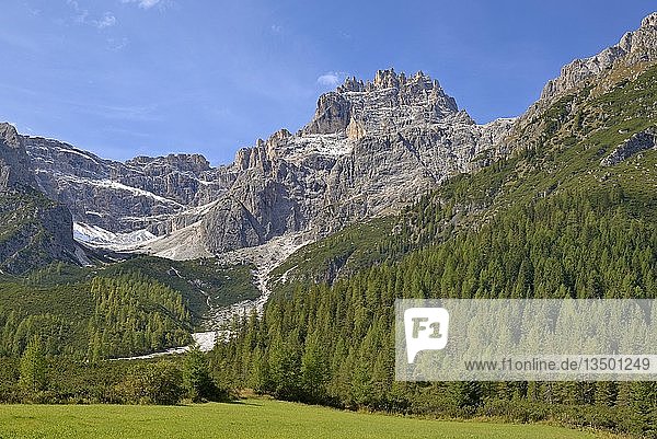 Blick vom Fischleintal zum Lärchenwald mit Dreischusterspitze 3152 m  Sextner Dolomiten  Südtirol  Südtirol  Italien  Europa