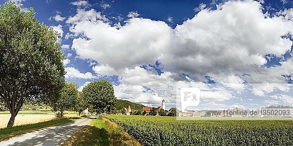 Weitwinkelaufnahme der Marktgemeinde Dollnstein hinter einem Maisfeld und Feldweg und unter ungewöhnlichen Wolkenformationen im Naturpark Altmühltal  Bayern  Deutschland  Europa