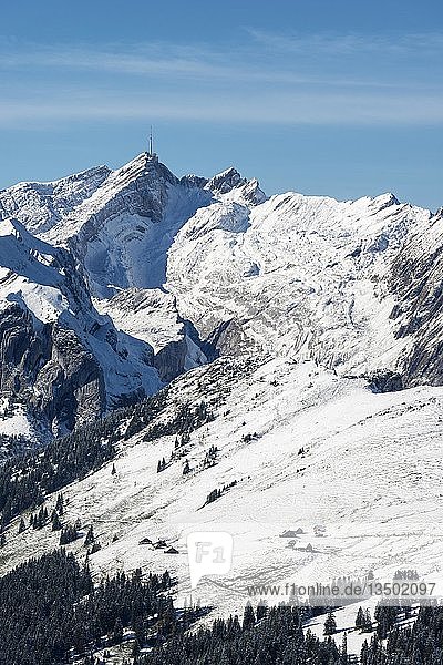 Schneebedeckter Säntisberg  2501m  von Südosten gesehen  darunter der Alpsigel  Kanton Appenzell Innerrhoden  Schweiz  Europa
