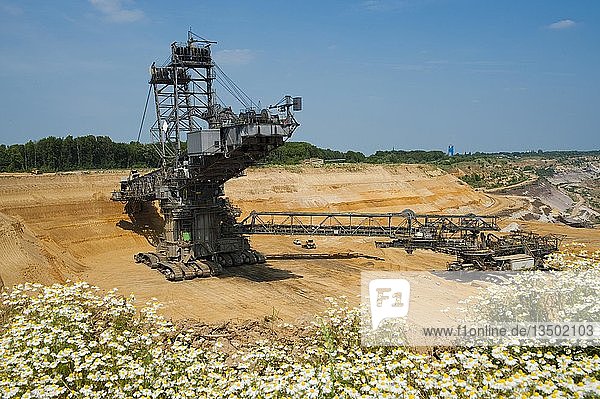 Schaufelradbagger in einem Tagebau Grevenbroich Nordrhein-Westfalen Deutschland Europa