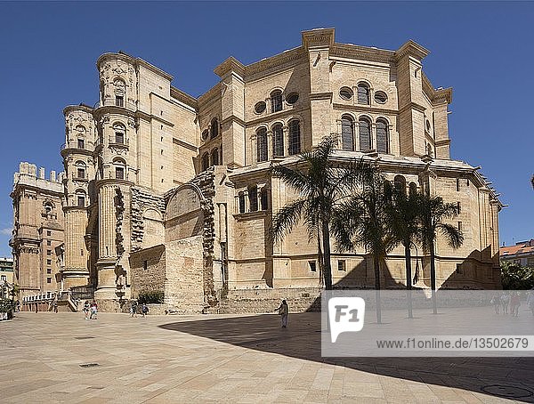 Kathedrale Catedral de la Encarnacón Málaga Costa del Sol Andalusien Spanien Europa