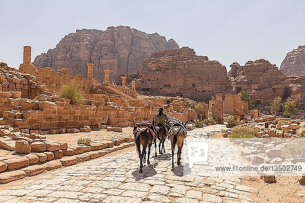 Mann mit Pferden  alte römische Straße neben den Ruinen von Petra  nabatäische Stadt Petra  nahe Wadi Musa  Jordanien  Asien