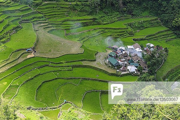 Bangaan in den Reisterrassen von Banaue  Nord-Luzon  Philippinen  Asien