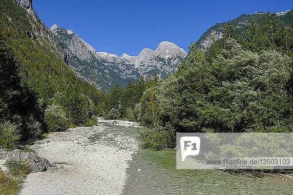 Fluss Soca  Isonzo  Triglav-Nationalpark  bei Trenta  Soca-Tal  Slowenien  Europa