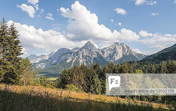 Wiese  Sonnenspitze im Hintergrund  Berglandschaft  bei Ehrwald  Tiroler Alpen  Tirol  Österreich  Europa