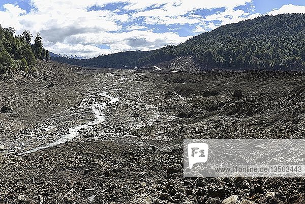 Zerstörter Wald durch einen Erdrutsch in Villa Santa Lucía bei Chaiten Rio Burritos Carretera Austral Patagonien Chile Südamerika