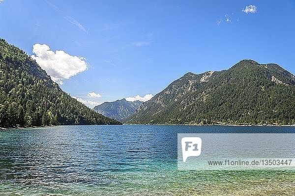 Plansee  Blick vom Ostufer  Ufer  türkisfarbenes Wasser  Bergsee  Berglandschaft  Tiroler Alpen  Reutte  Tirol  Österreich  Europa