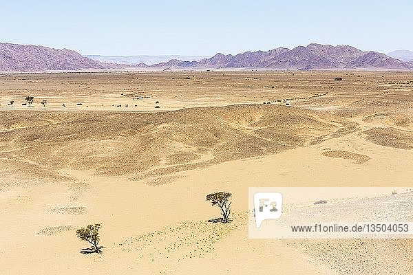 Luftaufnahme  Wüstenlandschaft  hintere Bergkette  Sossusvlei  Namib-Wüste  Namib-Naukluft-Nationalpark  Namibia  Afrika