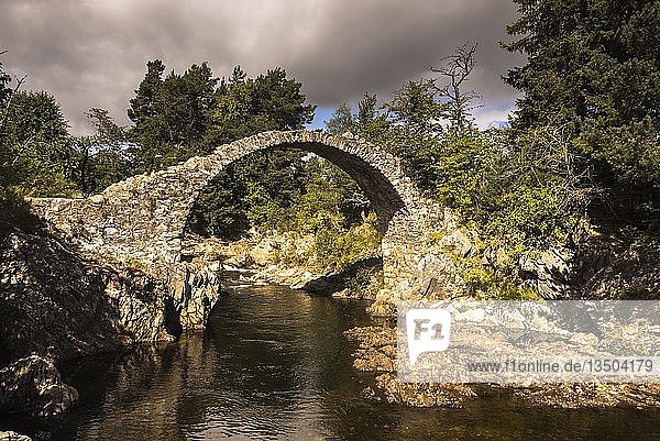 Alte Steinbrücke  Highlands  Carrbridge  Cairngorms-Nationalpark  Highland  Schottland  Großbritannien