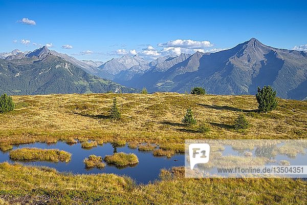 Feuchtbiotop am Melchboden  hinter den Zillertaler Alpen  Tirol  Österreich  Europa