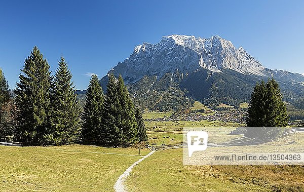 Blick auf die Zugspitze vom Grubigstein Lermoos Tirol Österreich Europa