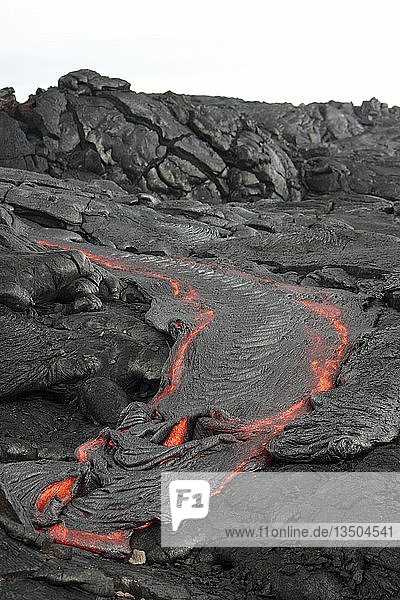 Lava flow  Kilauea volcano  Big Island  Hawaii  USA  North America