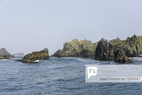 Naturerbestätte Islotes de Puñihuil  bizarre Felsformationen  Vogelfelsen  Bahia Puñihuil  Isla de Chiloé  Chile  Südamerika