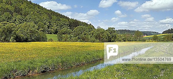 'Die Anlauter im Anlautertal mit Blumenwiesen  ''Ritter- und RÃ¶merweg''  bei Altdorf  Titting  Naturpark AltmÃ¼hltal  Bayern  Deutschland  Europa''
