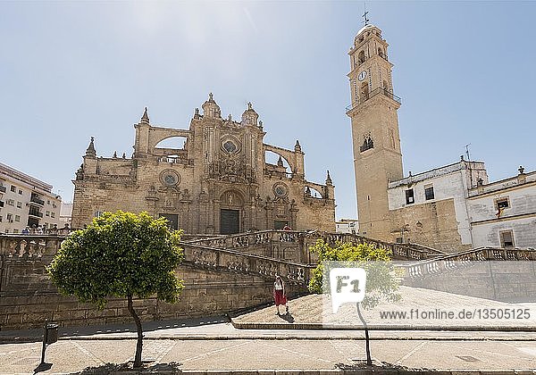 Katholische Kirche  Kathedrale von Jerez mit Turm  Jerez de la Frontera  Provinz Cádiz  Andalusien  Spanien  Europa