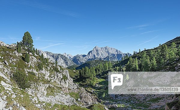 Blick auf den Watzmann,  Wanderweg zur Wasseralm über Niederbrunnsulzen,  Steinernes Meer,  Nationalpark Berchtesgaden,  Bayern,  Deutschland,  Europa