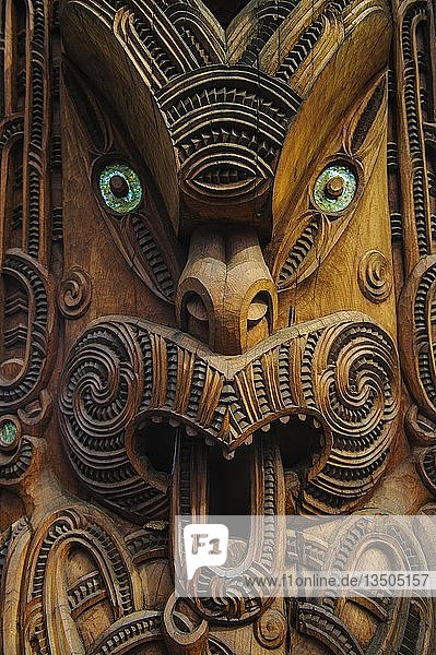 Traditionelle holzgeschnitzte Maske im Te Puia Maori Cultural Center  Roturura  Nordinsel  Neuseeland  Ozeanien
