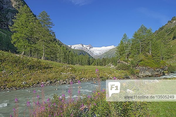 Gschlößbach im Tauerntal  hinter Schwarze Wand  Hoher Zaun und Großvenediger  Venedigergruppe  Nationalpark Hohe Tauern  Osttirol  Österreich  Europa