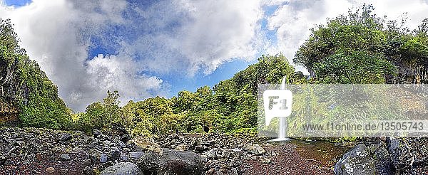 360Â° Panoramablick auf den Dawson Falls Wasserfall inmitten eines tropischen Regenwaldes  Dawson Falls  Mount Taranaki oder Mount Egmont  Whanganui National Park  Nordinsel  Neuseeland  Ozeanien