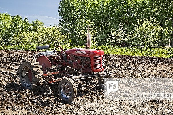 Roter McGormick Farmall Super A Traktor im gepflügten landwirtschaftlichen Feld  Quebec  Kanada  Nordamerika