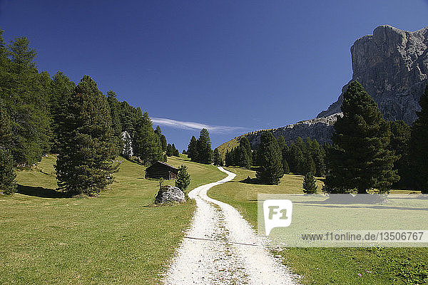 Trail  alp meadow  South Tyrol