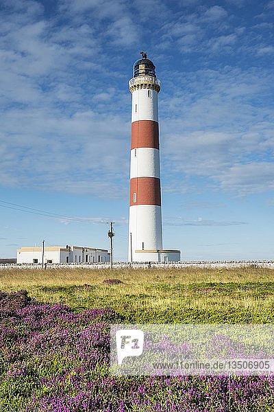 Leuchtturm Tarbat Ness am Moray Firth  Schottland  Vereinigtes Königreich  Europa