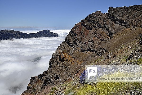 Blick in die Caldera de Taburiente Roque de los Muchachos Nationalpark Caldera de Taburiente Kanarische Inseln La Palma Spanien Europa