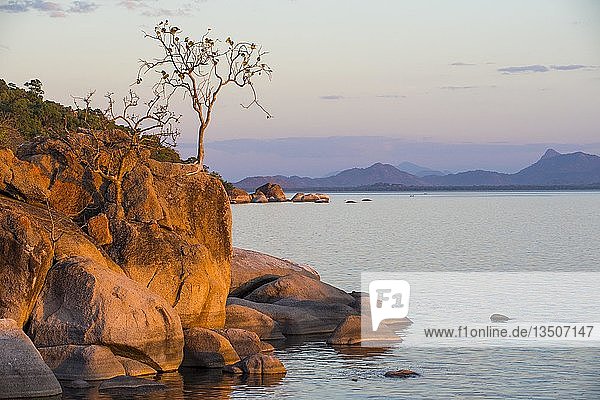 Otter Point bei Sonnenuntergang  UNESCO-Welterbe  Cape Maclear  Malawi  Afrika