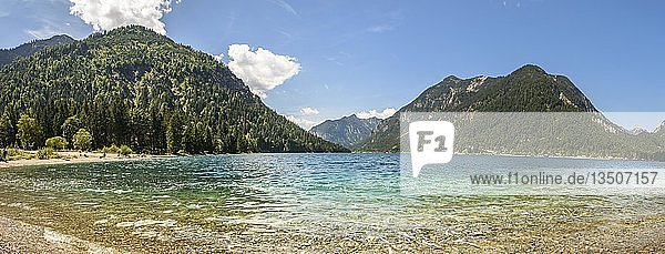 Plansee  Blick vom Ostufer  Ufer  türkisfarbenes Wasser  Bergsee  Berglandschaft  Tiroler Alpen  Reutte  Tirol  Österreich  Europa