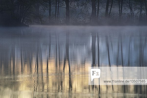 Dunst über einem See mit Spiegelung der Bäume  Biosphärenreservat Oberlausitzer Heide- und Teichlandschaft  Sachsen  Deutschland  Europa
