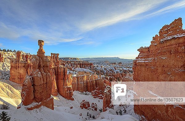 Felsformation Thors Hammer,  Morgenlicht,  bizarre verschneite Felslandschaft mit Hoodoos im Winter,  Navajo Loop Trail,  Bryce Canyon National Park,  Utah,  USA,  Nordamerika