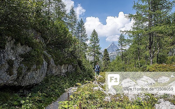 Wanderer auf Wanderweg zum KÃ¤rlingerhaus  hinter Watzmann  KÃ¶nigssee  Nationalpark Berchtesgaden  Berchtesgadener Land  Oberbayern  Bayern  Deutschland  Europa