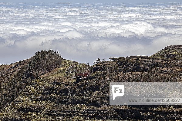 View from Roque Nublo on the Degollada de la Becerra and the sea of clouds over the north of Gran Canaria  Gran Canaria  Canary Islands  Spain  Europe