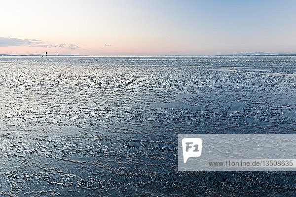 Eis am Ufer vom Bodensee an einem Winterabend Rohrspitz Höchst Vorarlberg Österreich Europa
