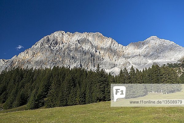 Ausblick auf das Wetterwandeck Zugspitzmassiv Ehrwalder Alm Ehrwald Tirol Österreich Europa
