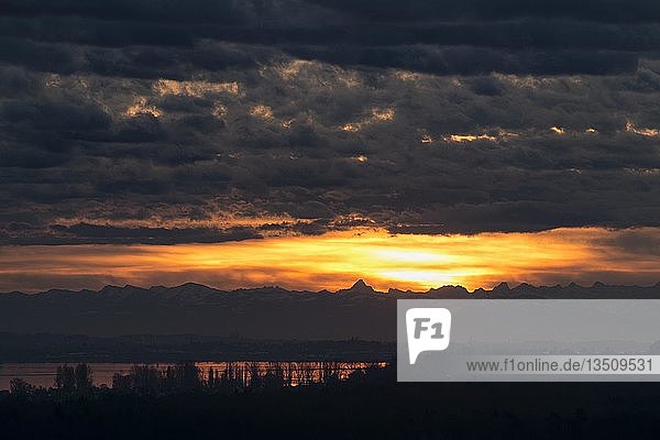 Sonnenaufgang Ã¼ber den Alpen mit FÃ¶hnwolken  im Vordergrund der westliche Bodensee  Baden-WÃ¼rttemberg  Deutschland  Europa