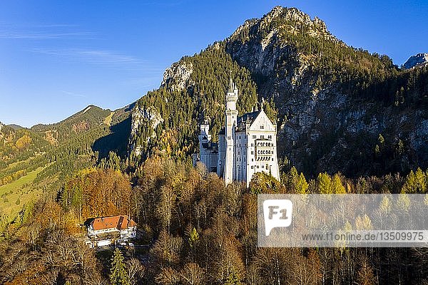 Drohnenaufnahme  Schloss Neuschwanstein im Herbst  Schwangau  OstallgÃ¤u  AllgÃ¤u  Schwaben  Oberbayern  Deutschland  Europa