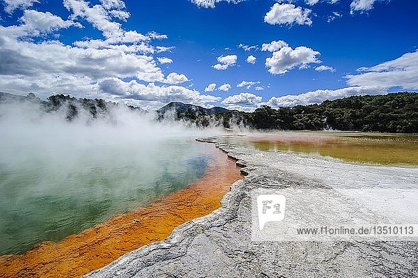 Der farbenfrohe champagnerfarbene Pool  Wai-O-Tapu Volcanic Wonderland  Nordinsel  Neuseeland  Ozeanien