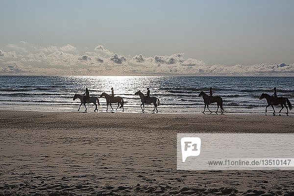 Gruppe von Reitern auf Pferden im Gegenlicht am Strand  Gurp Plage  Grayan-et-l`Hopital  Aquitaine  Gironde  Frankreich  Europa