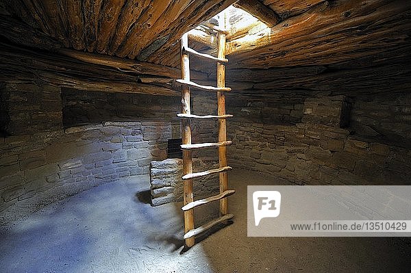 Leiter in einen unterirdischen Raum  Kiwa  Spruce Tree House  eine Felsbehausung der amerikanischen Ureinwohner  etwa 800 Jahre alt  Mesa Verde National Park  UNESCO Weltkulturerbe  Colorado  USA  Nordamerika