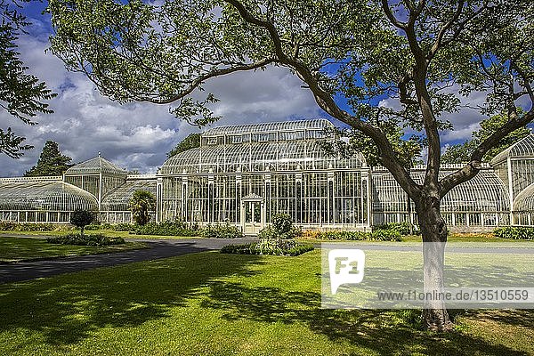 Gewächshaus von 1849 im botanischen Garten  auch Curvilinear Range genannt  Architekt Richard Turner  Dublin  Irland  Europa