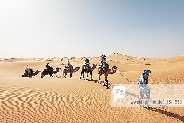 Caravan with dromedaries (Camelus dromedarius)  sand dunes in the desert  Erg Chebbi  Merzouga  Sahara  Morocco  Africa