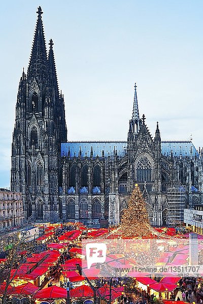Christmas market at Cologne Cathedral in the evening  Cologne  North Rhine-Westphalia  Germany  Europe