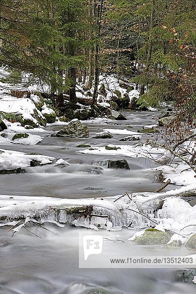 Fließender Bergbach Kleine Ohe mit Schnee und Eis  Nationalpark Bayrischer Wald  Bayern  Deutschland  Europa