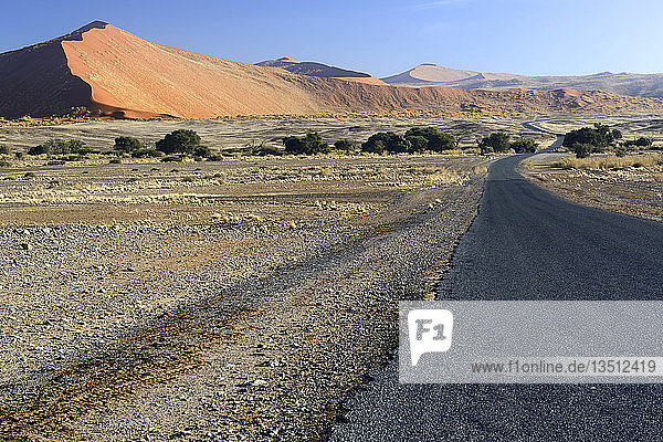 Road through the Sossusvlei salt pan  Sossusvlei  Namib Desert  Namib Naukluft Park  Namibia  Africa