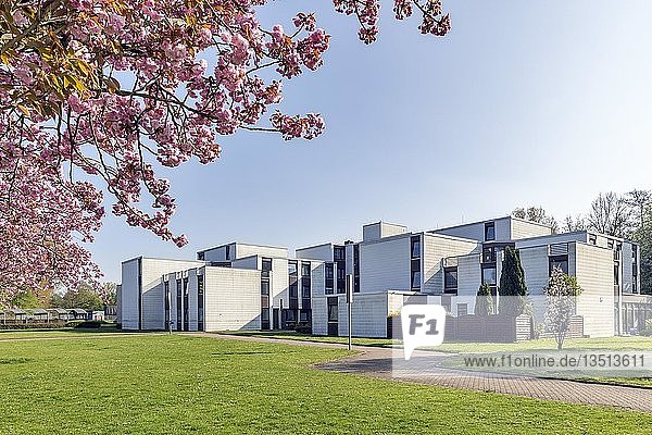 Studentenwohnheim der Fachhochschule der Wirtschaft FHDW Paderborn Ostwestfalen Nordrhein-Westfalen Deutschland Europa