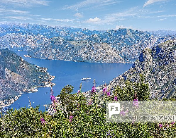 Bucht von Kotor mit den Dörfern Muo und Prcanj bei Kotor  Montenegro  Europa