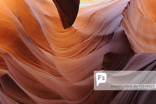 Felsformationen  Farben und Texturen im Antelope Slot Canyon  Arizona  USA  Nordamerika