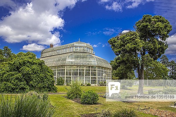 Gewächshaus aus dem Jahr 1884 im botanischen Garten  Dublin  Irland  Europa